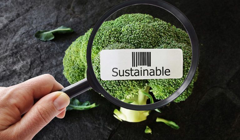 futuro-proximo-del-retail